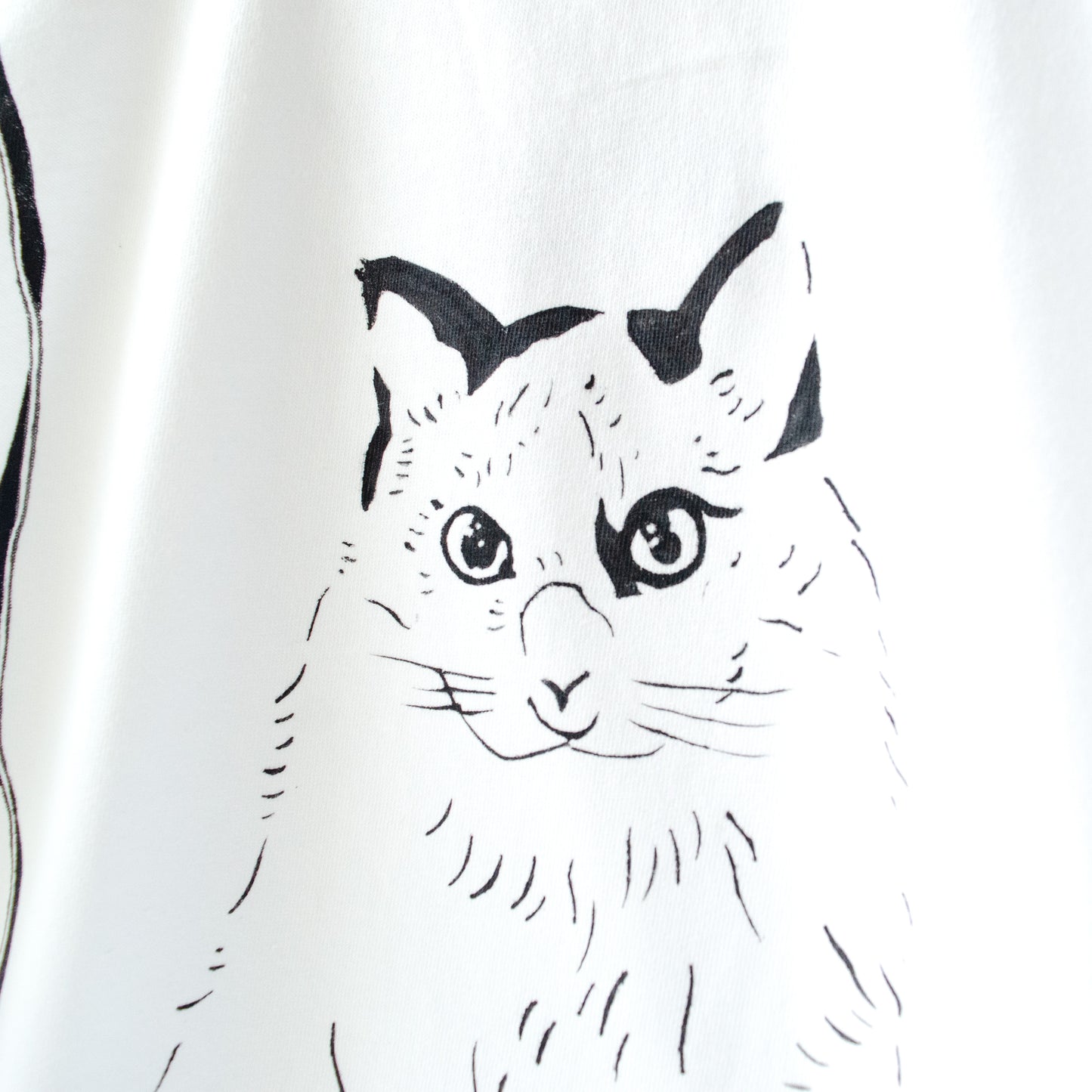 散歩の構図(Cat)