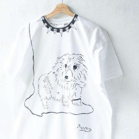 Composition of a walk (Dog)