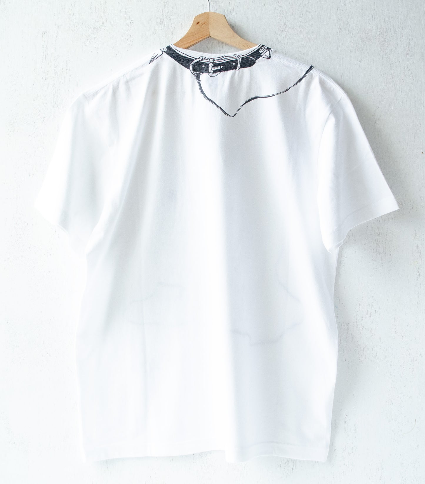 散歩の構図(Cat)