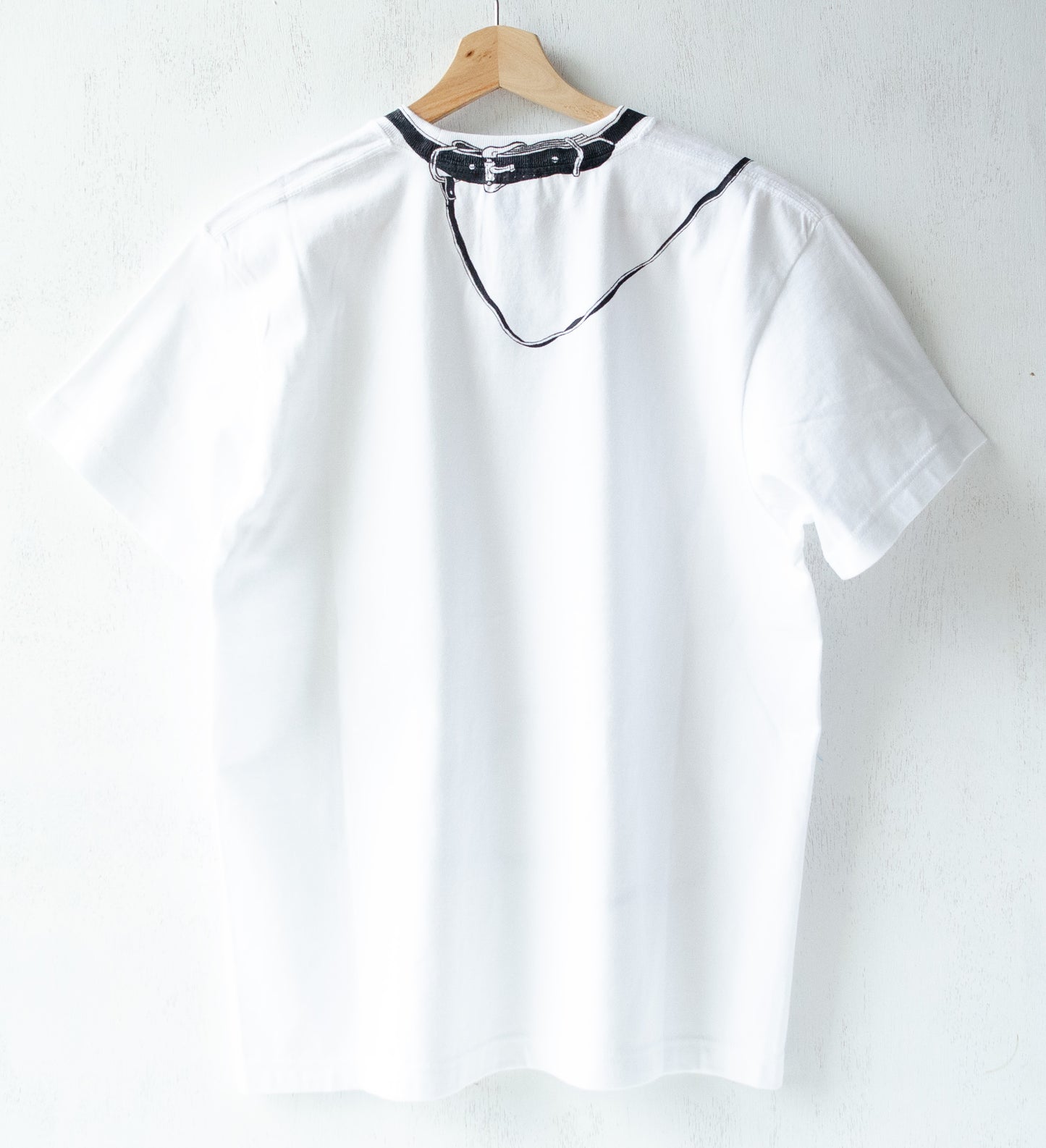 散歩の構図(Dog)